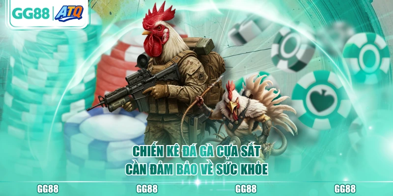 Chiến kê đá gà cựa sắt cần đảm bảo về sức khỏe