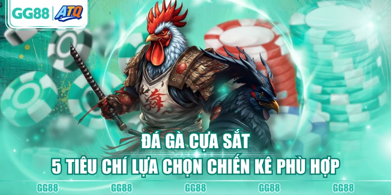 Đá gà cựa sắt