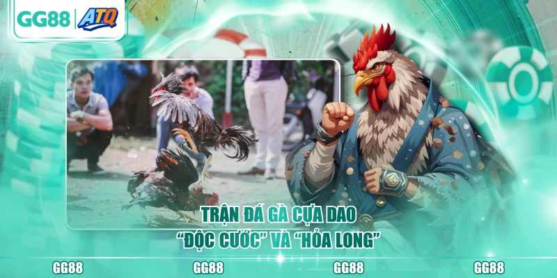 Trận đá gà cựa dao “Độc Cước” và “Hỏa Long”